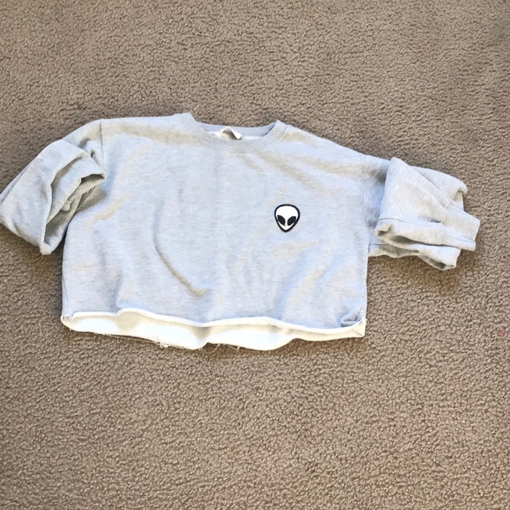 Mrandy Melville cropped hoodie